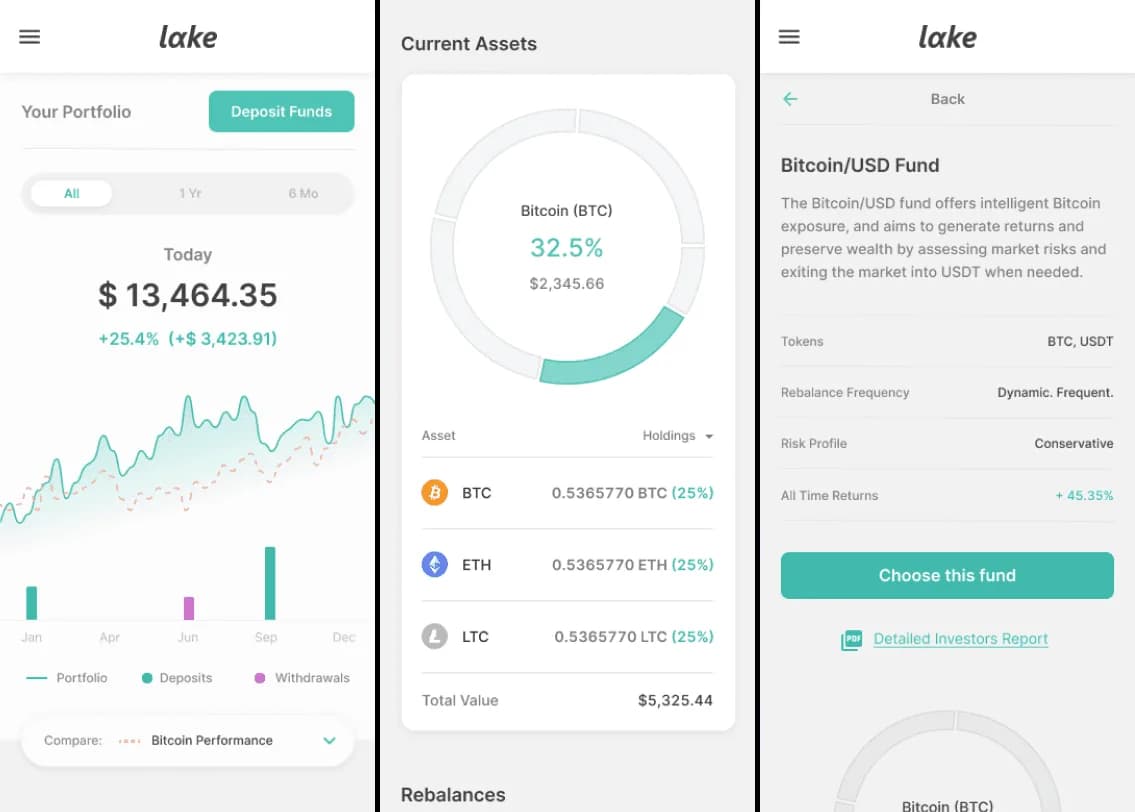 Lake portfolio, fund detail and asset allocation on mobile